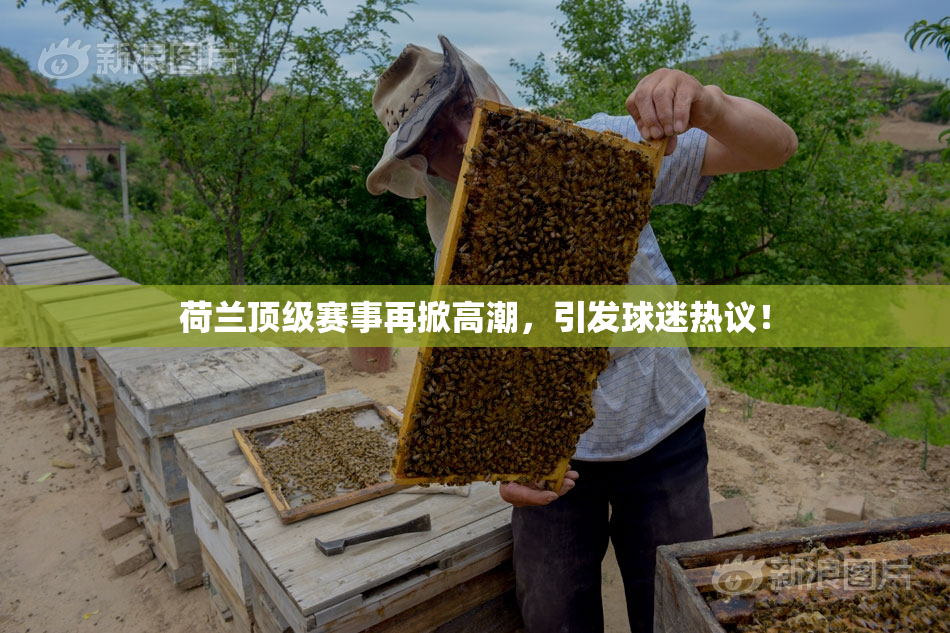 荷兰顶级赛事再掀高潮，引发球迷热议！