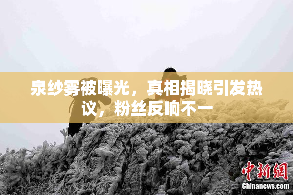 泉纱雾被曝光，真相揭晓引发热议，粉丝反响不一