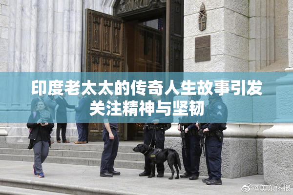 印度老太太的传奇人生故事引发关注精神与坚韧