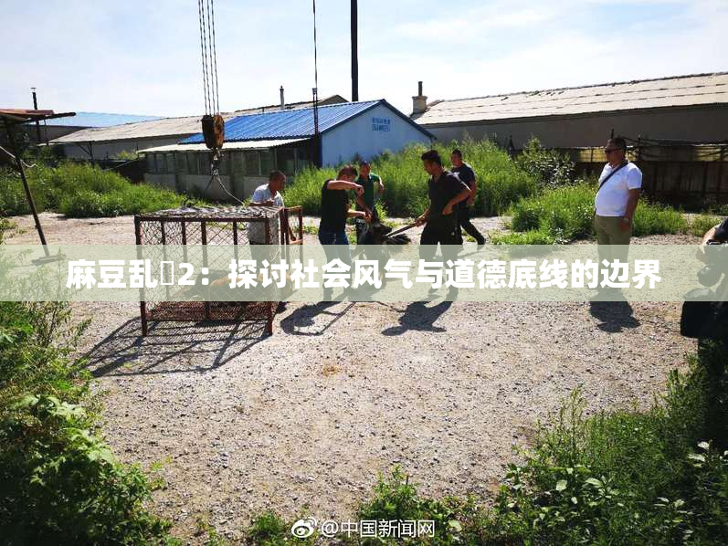 麻豆乱婬2：探讨社会风气与道德底线的边界