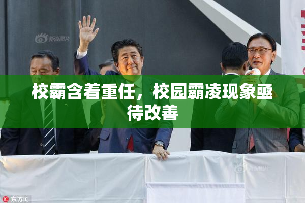 校霸含着重任，校园霸凌现象亟待改善