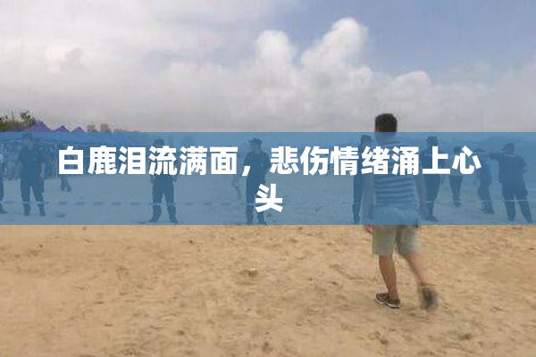 白鹿泪流满面，悲伤情绪涌上心头