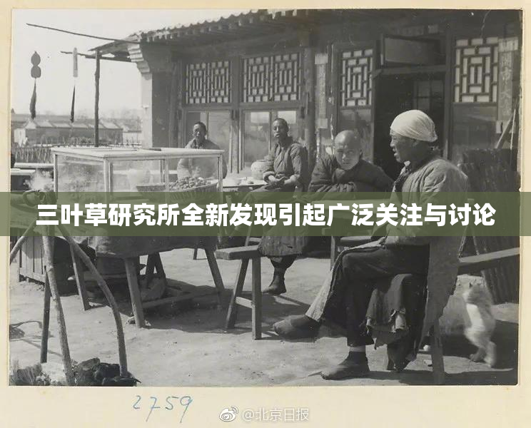三叶草研究所全新发现引起广泛关注与讨论