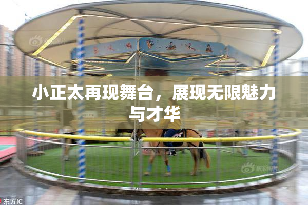 小正太再现舞台，展现无限魅力与才华