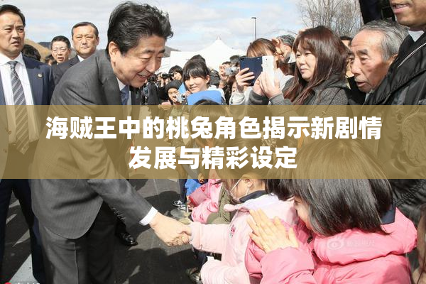 海贼王中的桃兔角色揭示新剧情发展与精彩设定