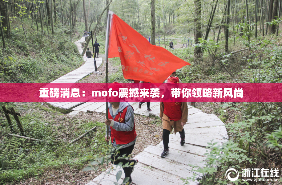 重磅消息：mofo震撼来袭，带你领略新风尚