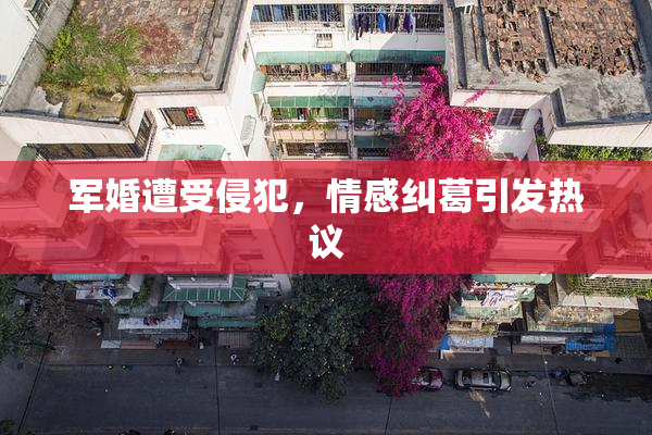 军婚遭受侵犯，情感纠葛引发热议