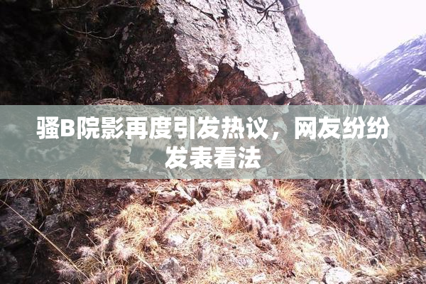 骚B院影再度引发热议，网友纷纷发表看法