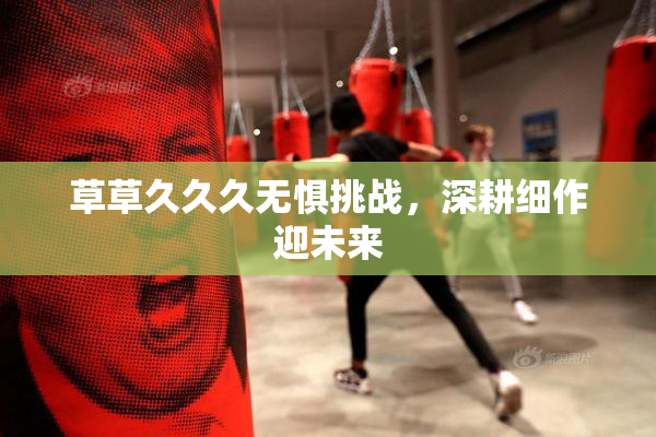 草草久久久无惧挑战，深耕细作迎未来