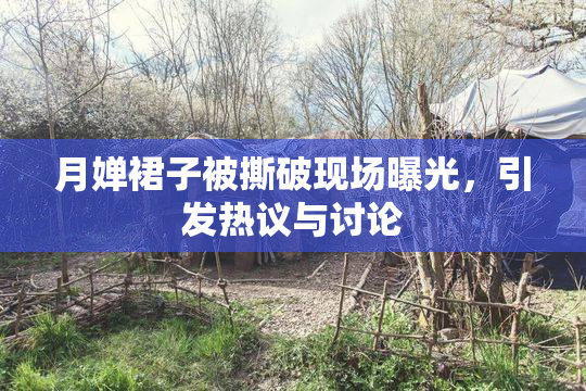 月婵裙子被撕破现场曝光，引发热议与讨论