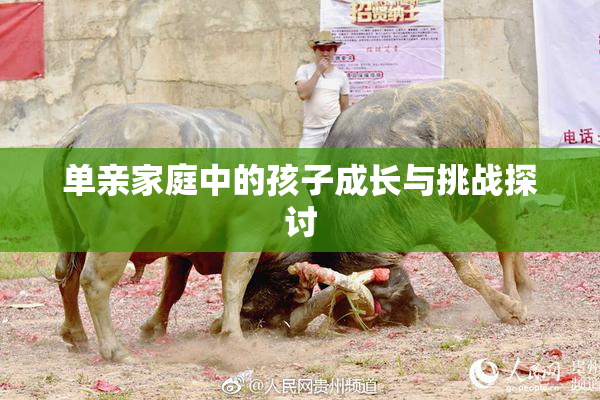 单亲家庭中的孩子成长与挑战探讨