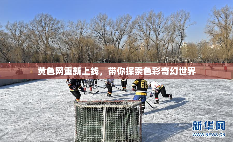 黄色网重新上线，带你探索色彩奇幻世界