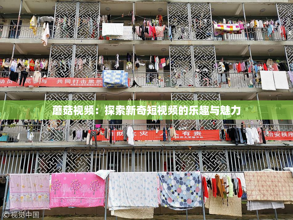 蘑菇视频：探索新奇短视频的乐趣与魅力