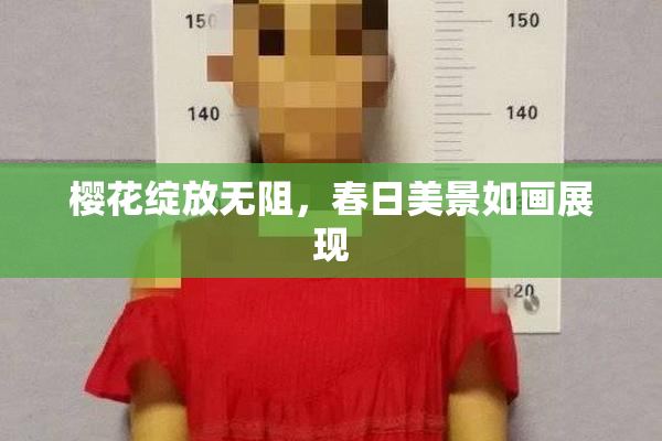 樱花绽放无阻，春日美景如画展现