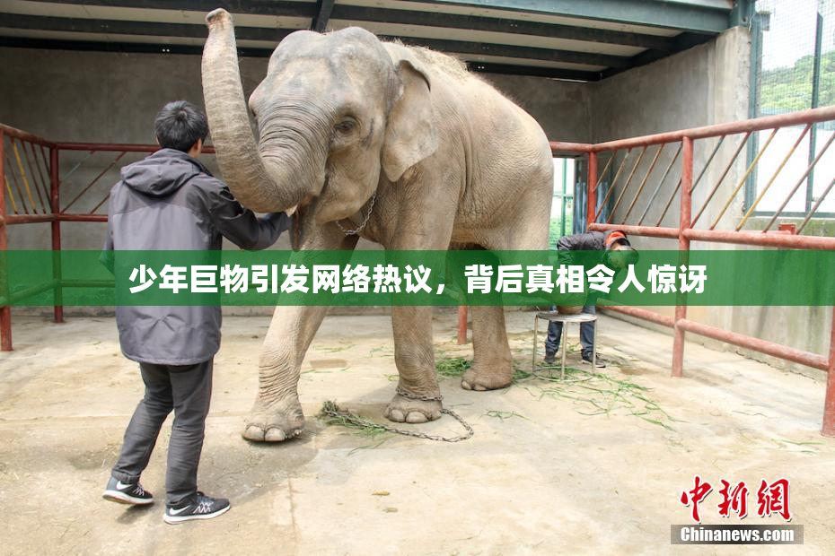少年巨物引发网络热议，背后真相令人惊讶