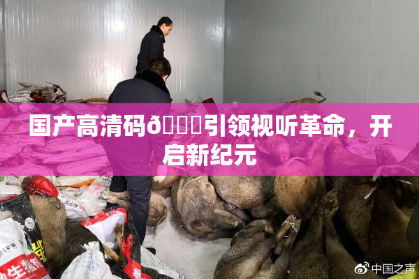 国产高清码🔞引领视听革命，开启新纪元