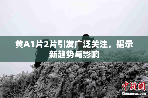黄A1片2片引发广泛关注，揭示新趋势与影响