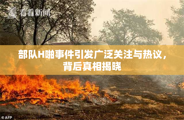 部队H啪事件引发广泛关注与热议，背后真相揭晓