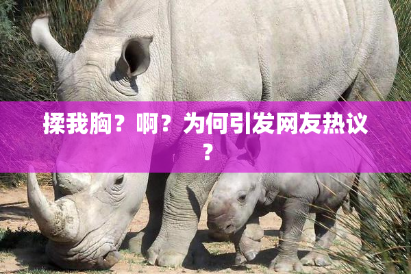 揉我胸？啊？为何引发网友热议？