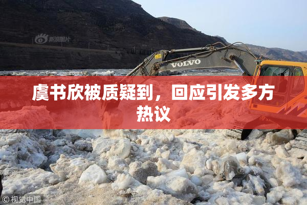 虞书欣被质疑到，回应引发多方热议