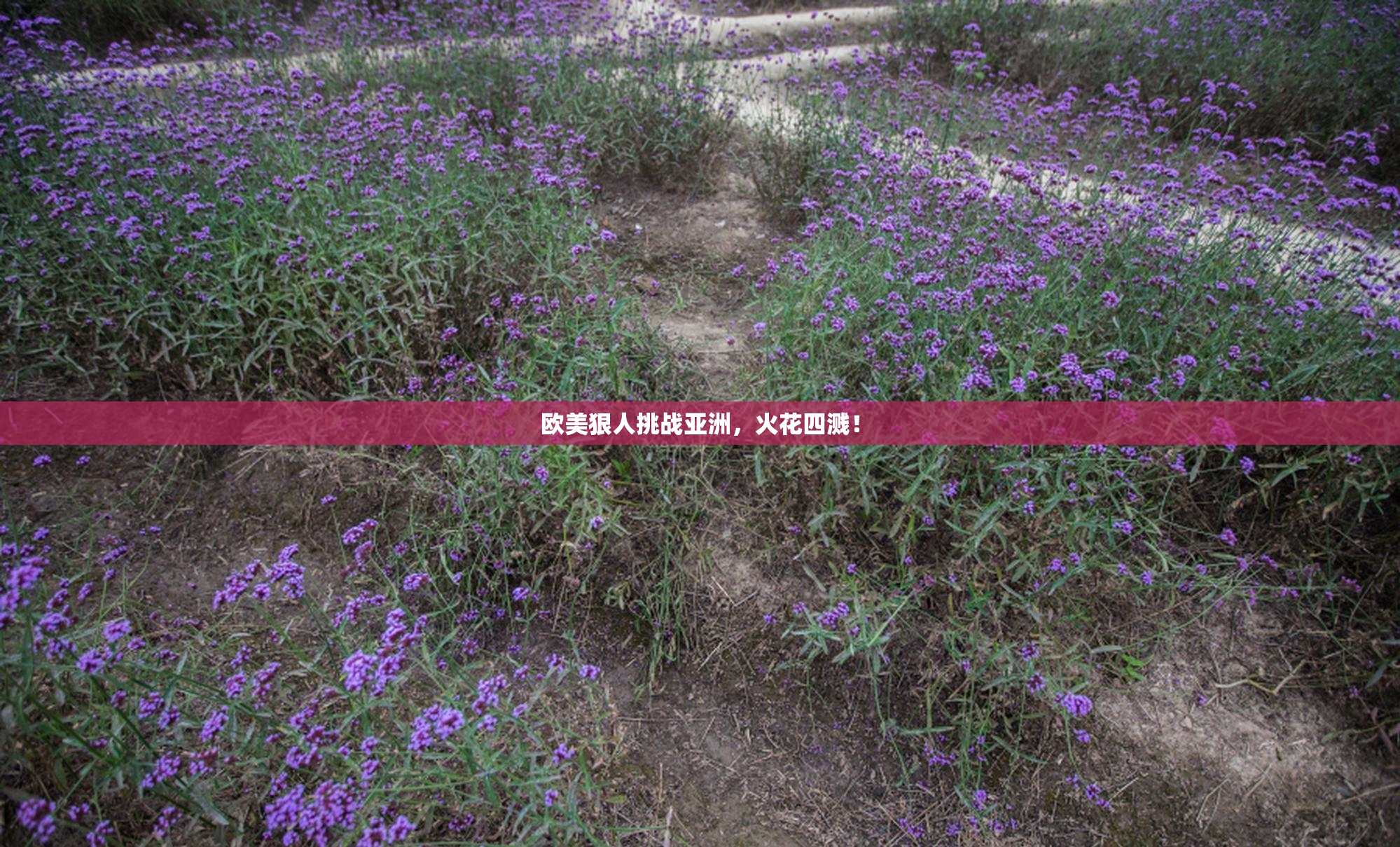 欧美狠人挑战亚洲，火花四溅！