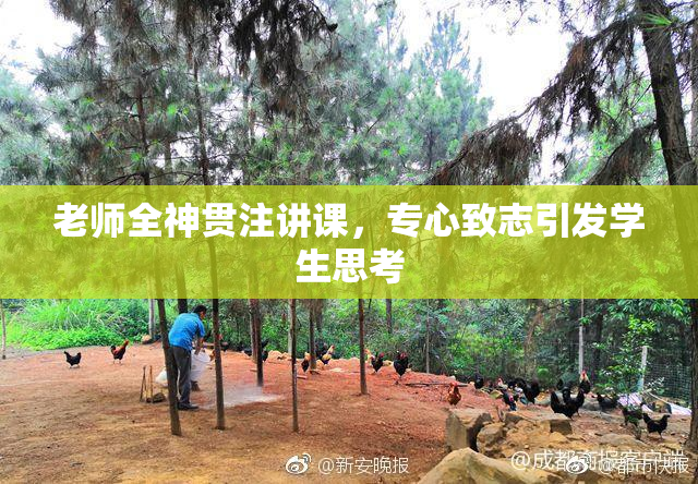 老师全神贯注讲课，专心致志引发学生思考