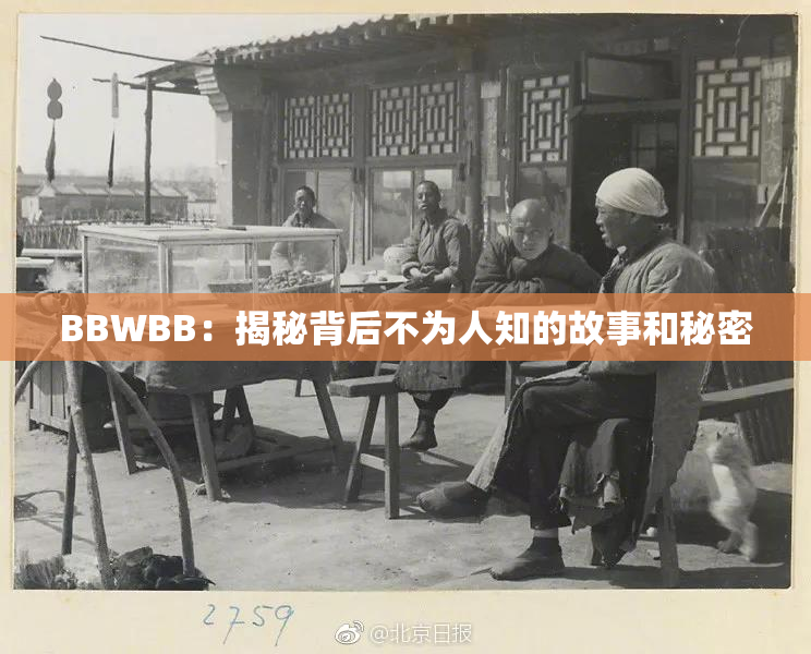 BBWBB：揭秘背后不为人知的故事和秘密