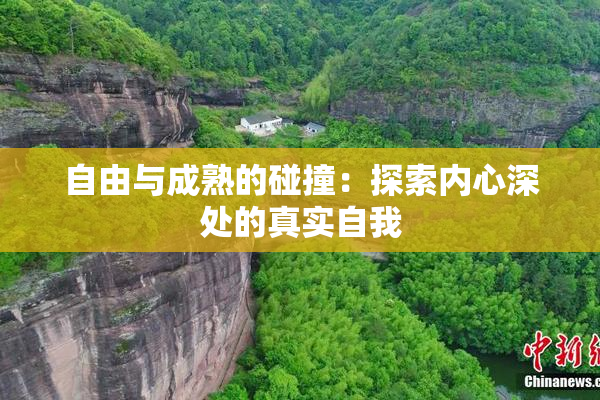自由与成熟的碰撞：探索内心深处的真实自我