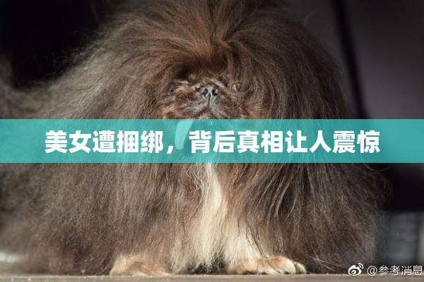 美女遭捆绑，背后真相让人震惊