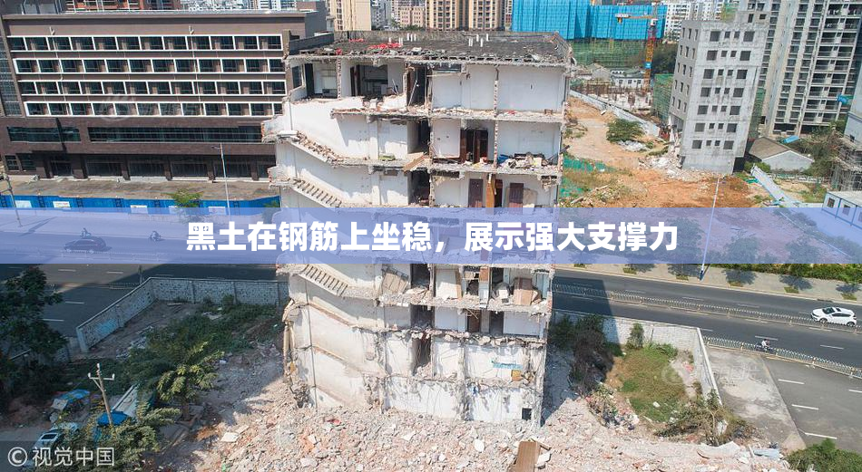 黑土在钢筋上坐稳，展示强大支撑力