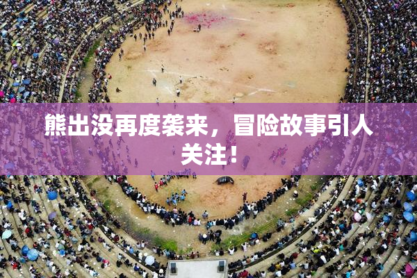 熊出没再度袭来，冒险故事引人关注！