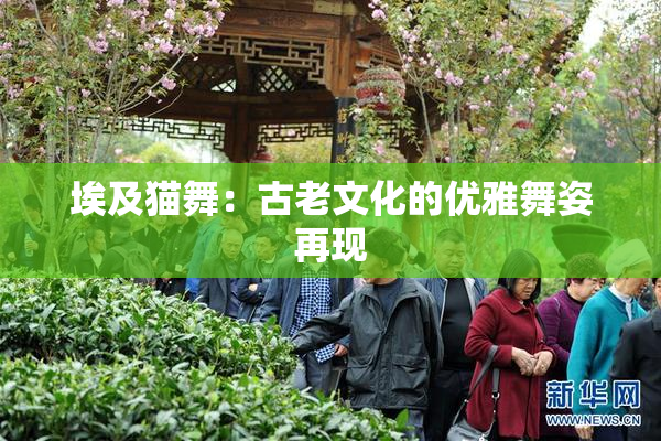 埃及猫舞：古老文化的优雅舞姿再现