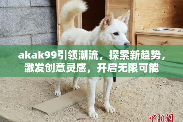 akak99引领潮流，探索新趋势，激发创意灵感，开启无限可能