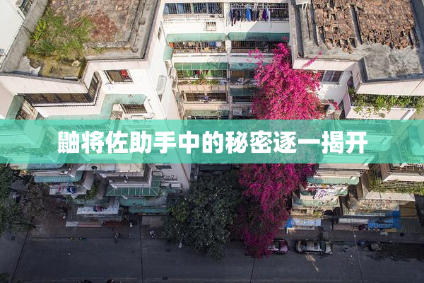 鼬将佐助手中的秘密逐一揭开