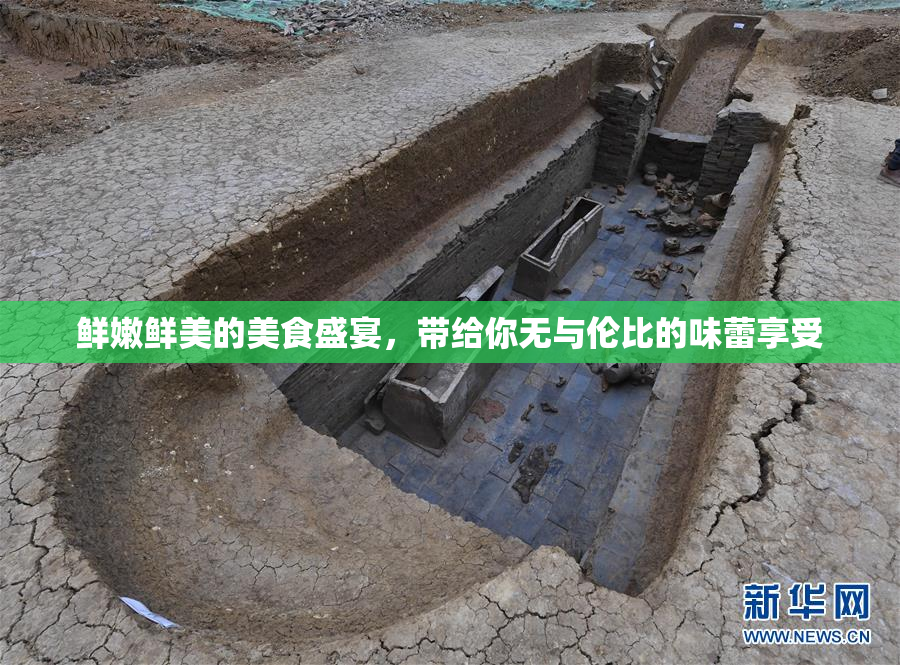 鲜嫩鲜美的美食盛宴，带给你无与伦比的味蕾享受