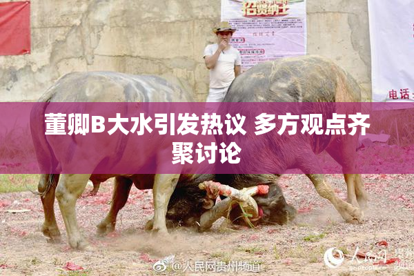 董卿B大水引发热议 多方观点齐聚讨论