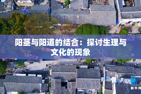 阳茎与阳道的结合：探讨生理与文化的现象