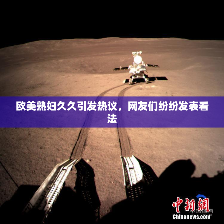 欧美熟妇久久引发热议，网友们纷纷发表看法