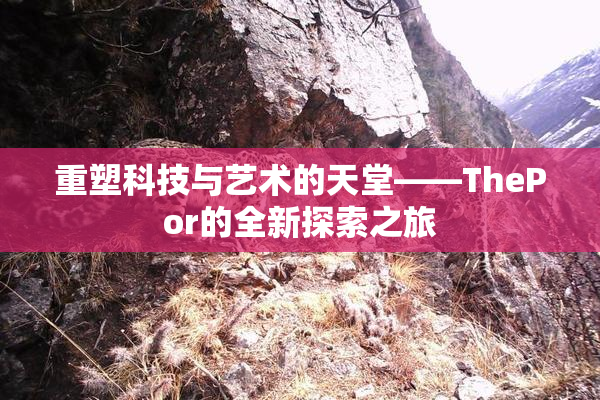 重塑科技与艺术的天堂——ThePor的全新探索之旅