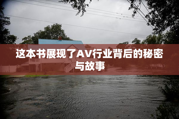 这本书展现了AV行业背后的秘密与故事