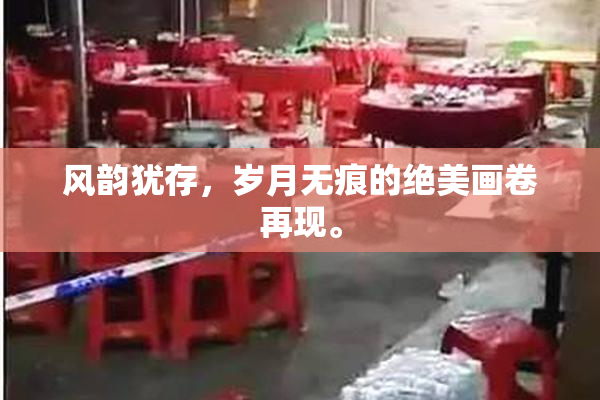 风韵犹存，岁月无痕的绝美画卷再现。
