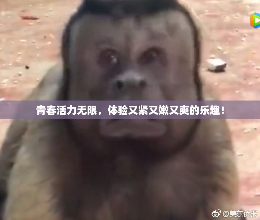 青春活力无限，体验又紧又嫩又爽的乐趣！