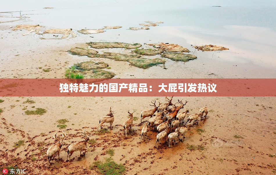 独特魅力的国产精品：大屁引发热议