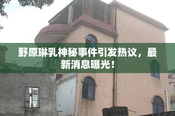 野原琳乳神秘事件引发热议，最新消息曝光！