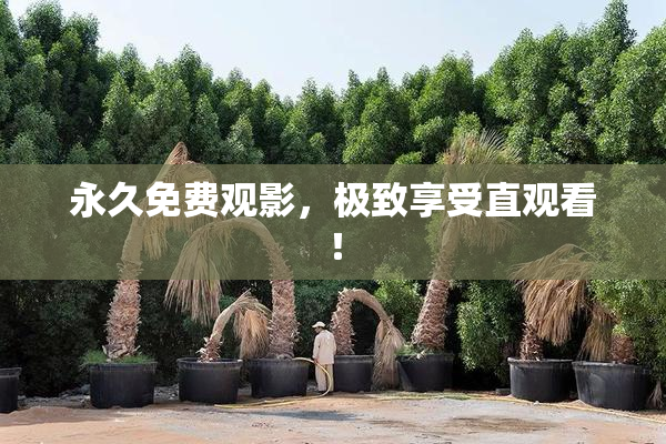 永久免费观影，极致享受直观看！