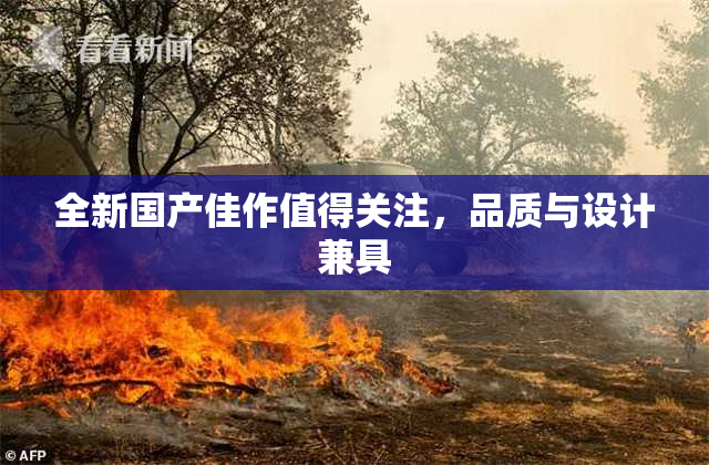 全新国产佳作值得关注，品质与设计兼具