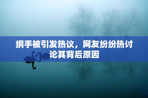 纲手被引发热议，网友纷纷热讨论其背后原因