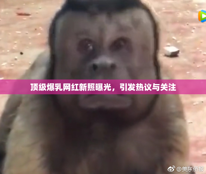 顶级爆乳网红新照曝光，引发热议与关注