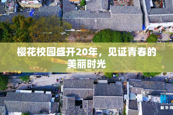樱花校园盛开20年，见证青春的美丽时光