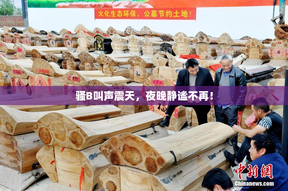 骚B叫声震天，夜晚静谧不再！